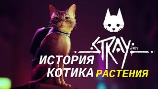 STRAY # Где найти все растения (цветы)? | Значок растения