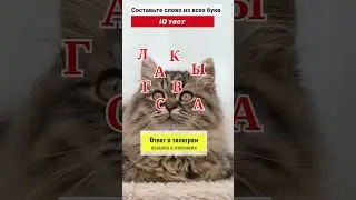 Самый милый IQ тест с котом который вы когда-либо видели