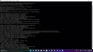 Introduction To GitHub - Week 3 Coursera Google IT Automation with Python (Password Problem Fix)
