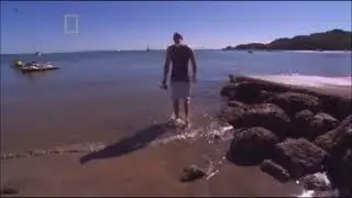 Deadly Fishes