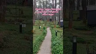 Udara segar memang jadi barang langka sekarang ini
