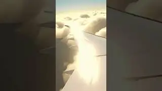 Above the clouds ✈️ #shorts