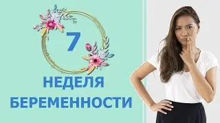 7 weeks pregnant. Fetal development and mother's feelings