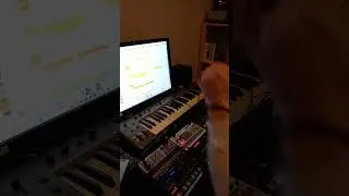 It is Friday and the body knows it (Music Producer Edition)
