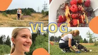 Влог 🐶 Щенок корги, прогулки в полях, огород