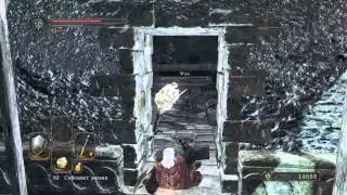 Muad стримит Dark Souls 2: Scholar of the First Sin день 3-1