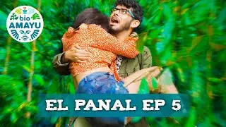 Buscando y buscando, se siguen enredando | Ep 5 - Serie el PANAL | BIO AMAYU