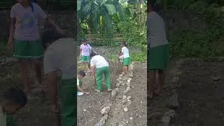 school garden