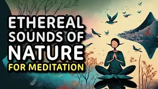 🎹 Tranquil Birdsong & Piano Melodies: Ultimate Meditation Escape 🍃