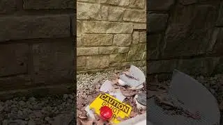 pokeball