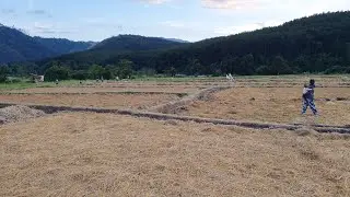 mus saib liaj se pua ua dib xyoo no hmoob ua dib ntau tiag2