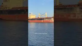 do you know about ship paint? 