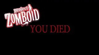 Project Zomboid In a Nutshell