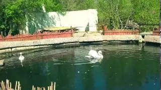 На минутку нельзя оставить без присмотра.