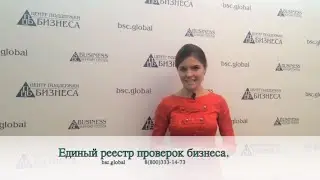 Единый реестр проверок бизнеса