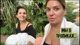 Вопрос дня на сегодня / Уехали в тропики / Спор - чья же мама? Игровые автоматы / Tropical Island