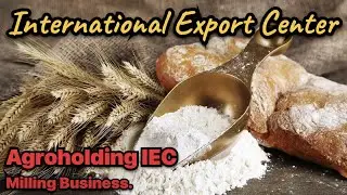 Flour milling byznez. Wheat flour business. Anrobusiness. Agroholding IEC. Mill.