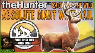 The Biggest Diamond Buck I Have Seen In Months... Call of the wild