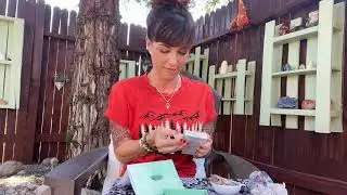 New Divine Feather Messenger Deck:Unboxing & Reading! Contessa's Corner