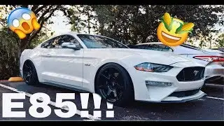 2019 Mustang GT Gets Tuned