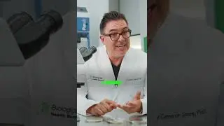 Test for Mould yourself!