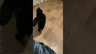 Намёк на еду 👨‍🍳/))))