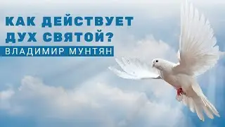 Как действует Святой Дух? / Апостол Владимир Мунтян