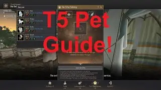 T5 Pet Guide Simplified! | Black Desert Online