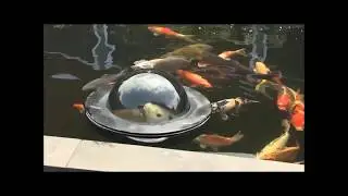 Velda Floating Fish Dome