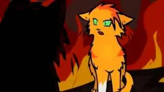 Коты-Воители This Is War
