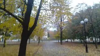 Золотой листопад(14.10.2021
