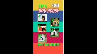 5 BEST DOG HOUSES # Waterproof Plastic Dog House # Pet House 