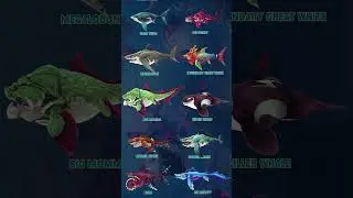 HUNGRY SHARK WORLD | ALL SHARK SIZE COMPARISON Clowncy Update