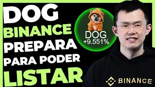 DOG GO TO THE MOON BINANCE PREPARANDO A LISTAGEM?