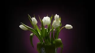 Still life photography with large dynamic range