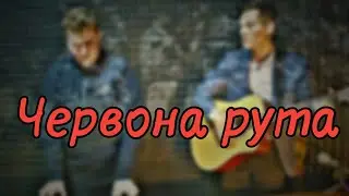 Червона рута