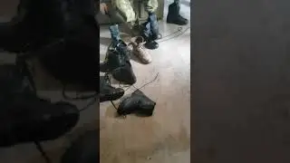 Немного помогли