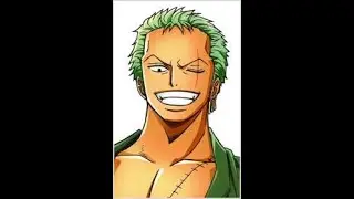 So Zoro's bust size is 110 cm
