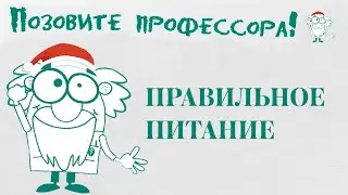 Правильное питание. Новогодний выпуск