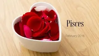 The Universe is conspiring to bring you together, PISCES - Twin Flame Soulmate Love Tarot Feb 2018
