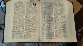 dictionary 7