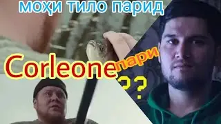 Клип Cоrleone _моҳи тило қапид новая версия