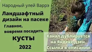 Народный улей Варрэ. Ландшафтный дизайн на пасеке. Кустарники