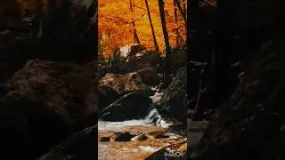 Nature Beauty #nature #fallcolors #fall #beautifulnature