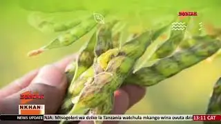 NKHANI YAVUTA YOKHUZA NGOZI YA MALEMU SAULOSI CHILIMA