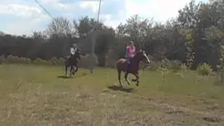 веселая Пасха на конюшне))