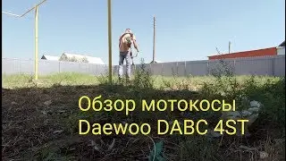 Daewoo DABC 4ST brushcutter review. Reed cutting. Grass cutting. A brushcutter in action.