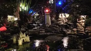 Garden Pond at Night UHD 4K FYV