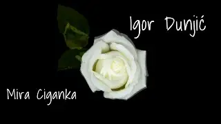 Igor Dunjić - Mira (Official lyric video)