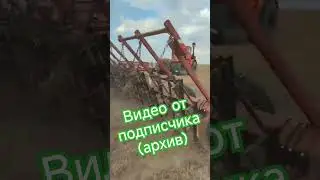 К-704ТУ с боронками(архив)видео от подписчика. #алекс_юстасу #кировец #трактор #борона